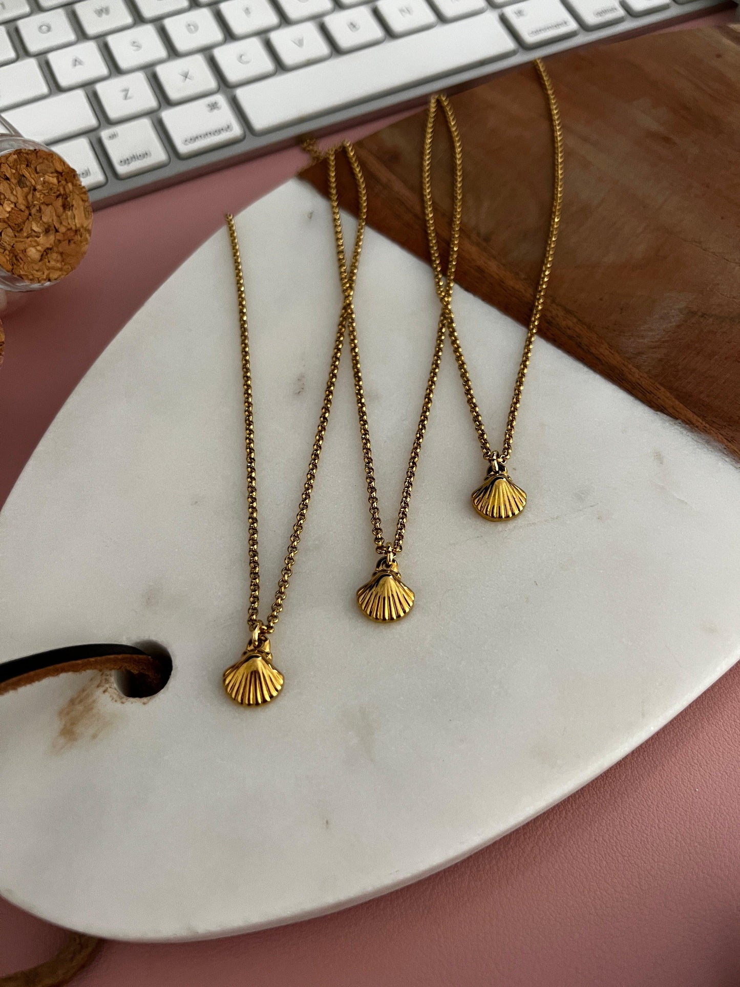 Shell's chain - Perla De Agua Dulce