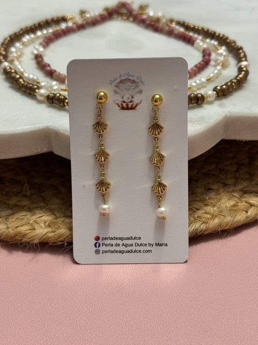Shells and Pearl Earrings